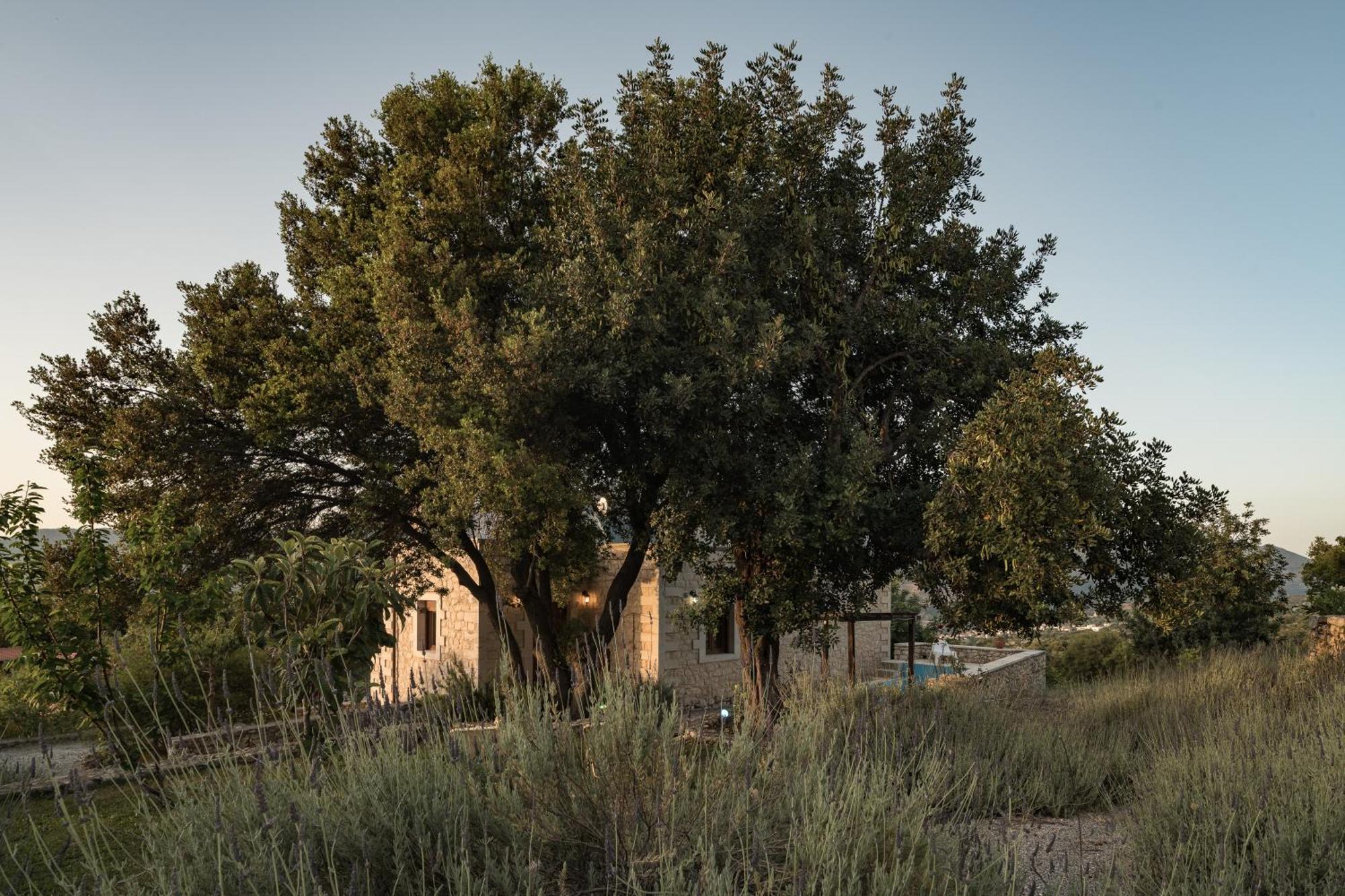 Koules Estate, With Private Pools & Bbq - Embracing Nature, By Thinkvilla Argouli Camera foto